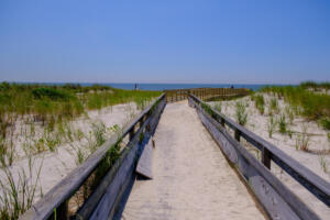 071319 - LIICT 2019 052 8546