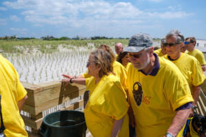 071319 - LIICT 2019 067 8587